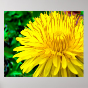 Good Morning Sunshine Poster