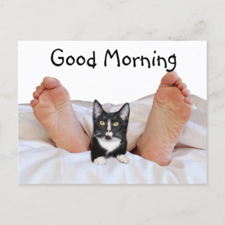 Good Morning Tuxedo kitty Postcard