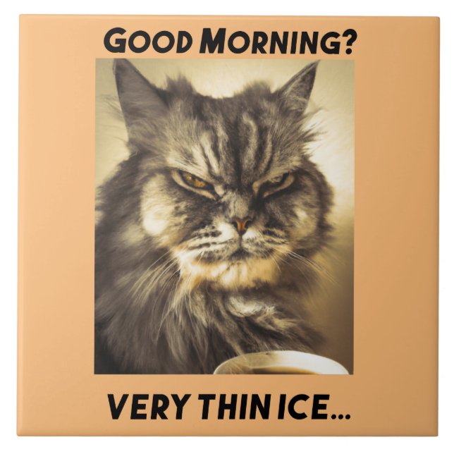 Good morning! Very thin ice. Cat with ironic touch Tile (Front)