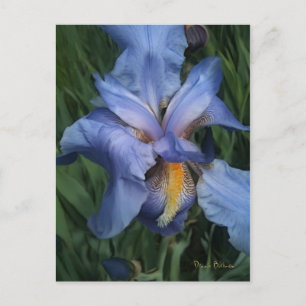 Good Neighbours Postcard