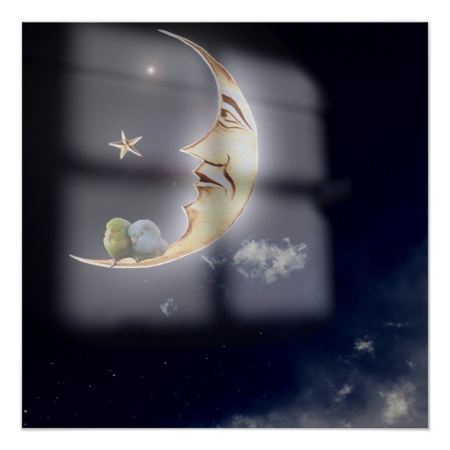 Good night and sweet dreams Pacific Parrotlets Art Poster (Front)