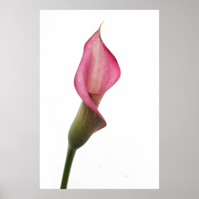 Good Night Angel Poster (Front)