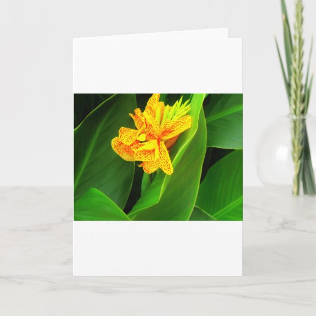 Good night !. card (Front)