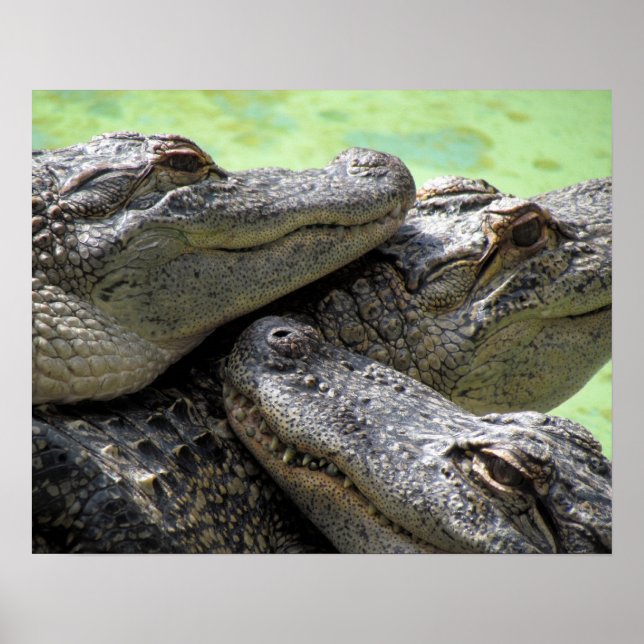 Good Times Poster (Front)