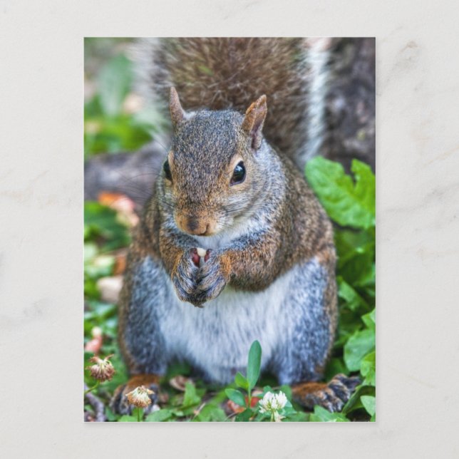 Good To The Last Bite Postcard (Front)