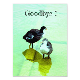 goodbye photo print