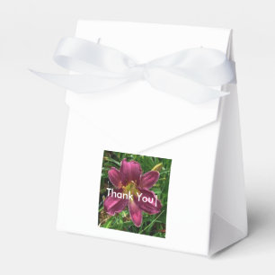 Goodie Box