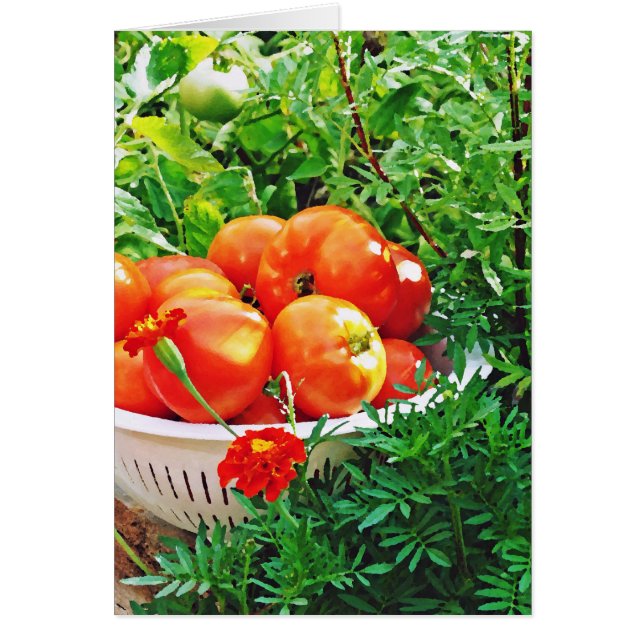 Goodies de jardin (Devant)