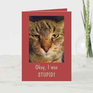 Goofy Cat "I'm Sorry" Card