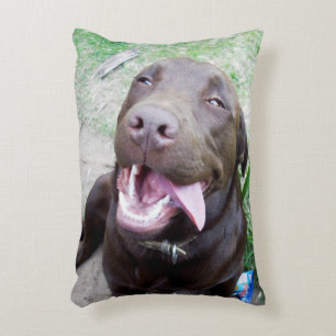 Goofy Delights: Chocolate Brown Labrador Puppy, Accent Pillow
