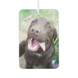 Goofy Delights: Chocolate Brown Labrador Puppy, Air Freshener