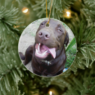 Goofy Delights: Chocolate Brown Labrador Puppy, Ceramic Ornament