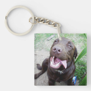 Goofy Delights: Chocolate Brown Labrador Puppy, Keychain