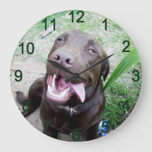 Goofy Delights: Chocolate Brown Labrador Puppy, Large Clock