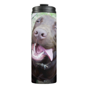 Goofy Delights: Chocolate Brown Labrador Puppy, Thermal Tumbler