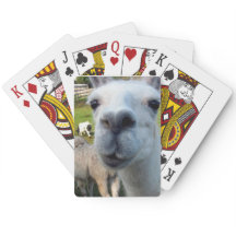 Goofy Llama Playing Cards