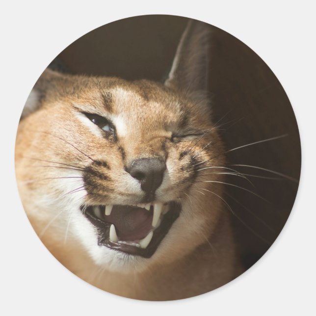 Goofy Lynx Classic Round Sticker (Front)