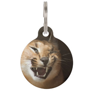Goofy Lynx Pet Tag