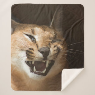 Goofy Lynx Sherpa Blanket