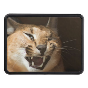 Goofy Lynx Trailer Hitch Cover