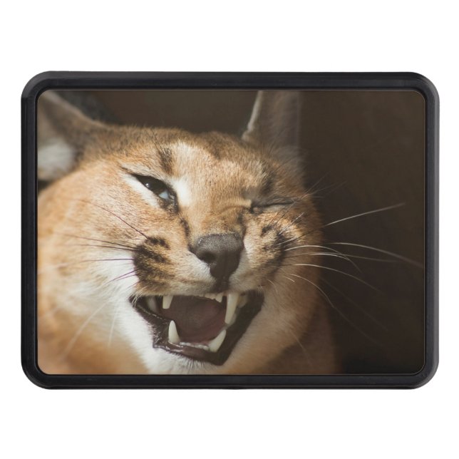 Goofy Lynx Trailer Hitch Cover (Front)