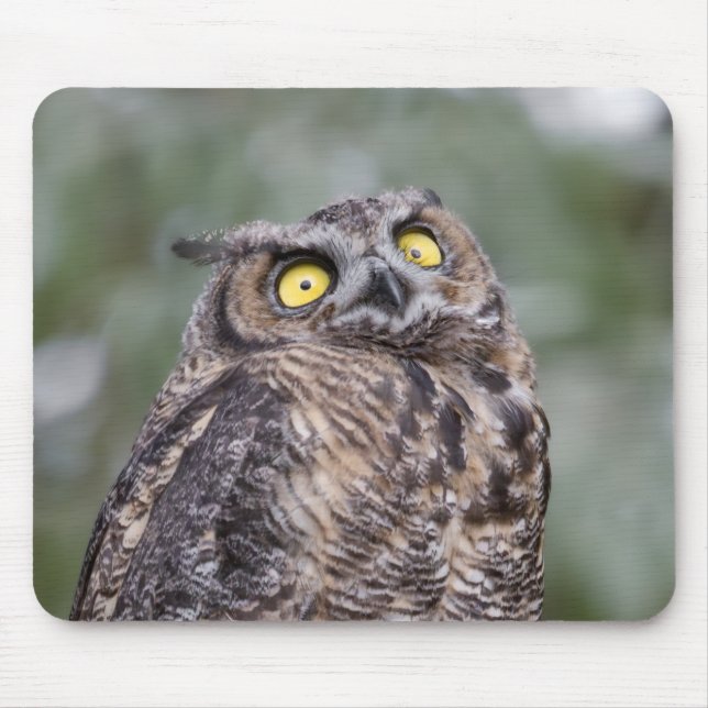 Goofy Owl Mousepad (Front)