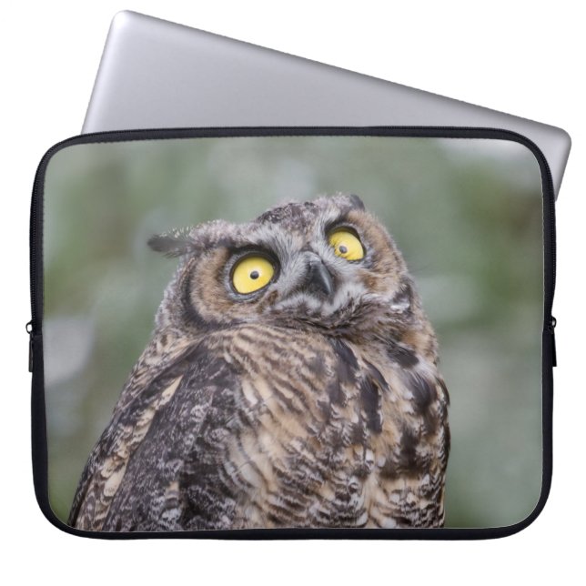 Goofy Owl Neoprene Laptop Sleeve (Front)