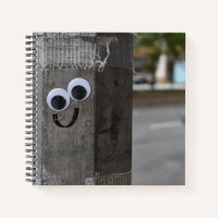 Googly Eyes Eyeballs New York City Photography NYC
