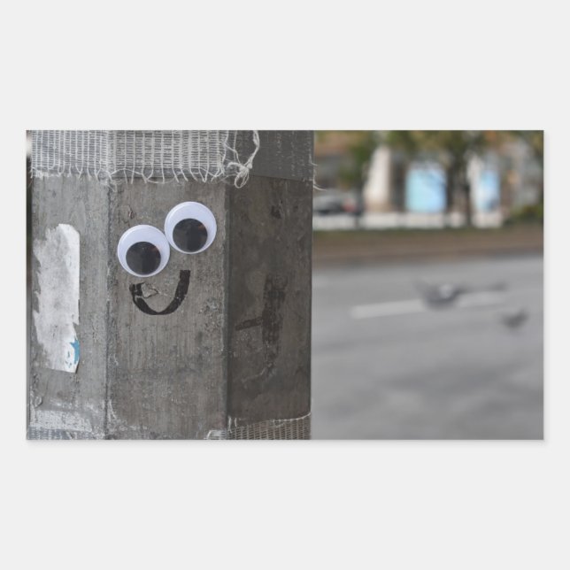Googly Eyes Eyeballs New York City Photography NYC Sticker (Front)
