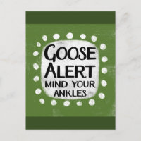 Goose Alert Postcard