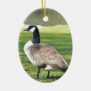 Goose at the waterfront, Wildlife Animals, Nature Ceramic Ornament