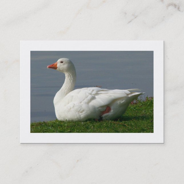 Goose (Bordered) Business Card (Front)