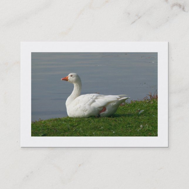 Goose (Bordered) Business Card (Front)
