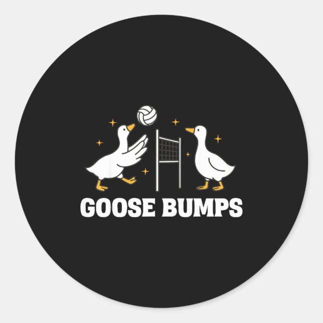Goose Bumps Volleyball  Classic Round Sticker (Front)