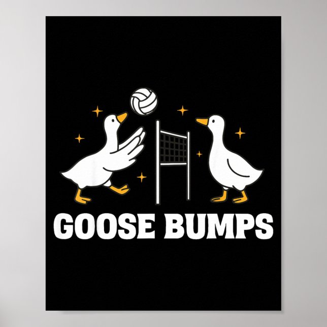 Goose Bumps Volleyball  Poster (Front)