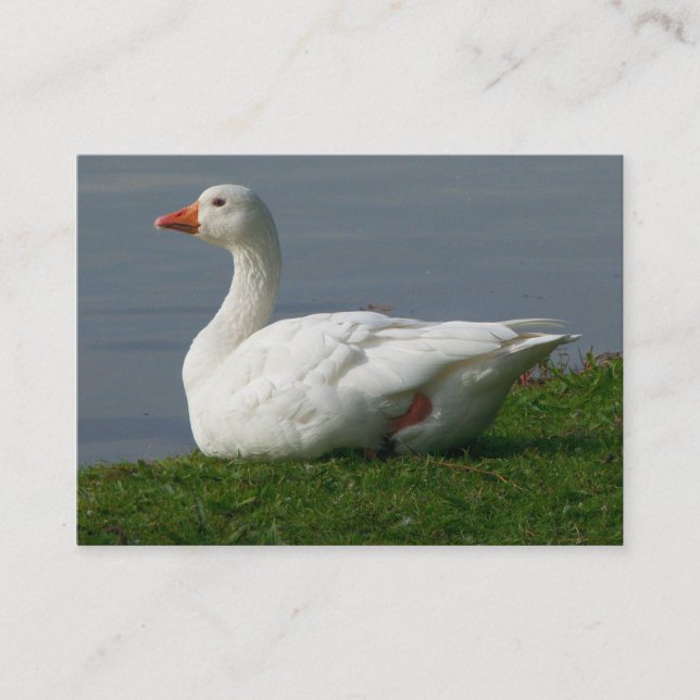 Goose Business Card (Front)