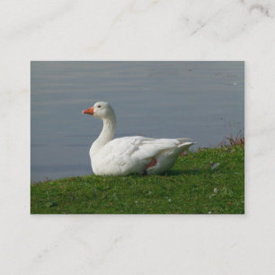 Goose Business Card