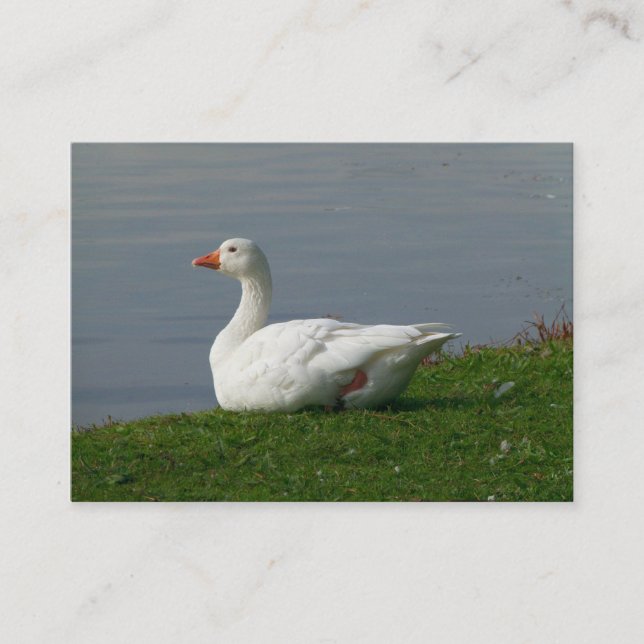 Goose Business Card (Front)