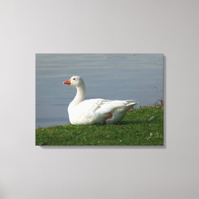 Goose Canvas Print (Front)