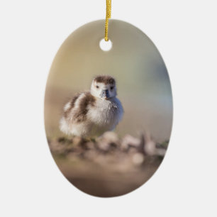 Goose Chick Nature Photo Ceramic Ornament