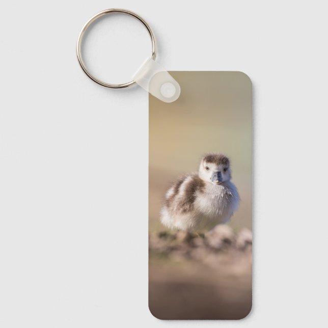 Goose Chick Nature Photo Keychain (Front)