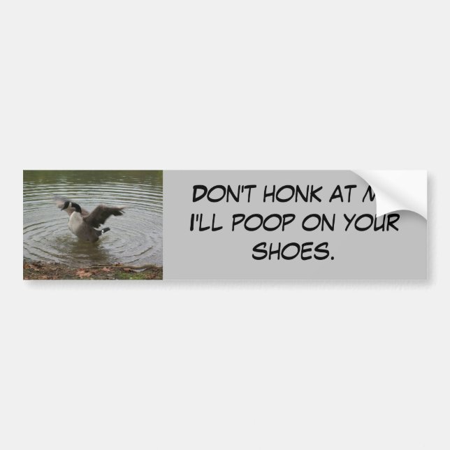 Goose "Don't Honk at Me" Bumper sticker (Front)