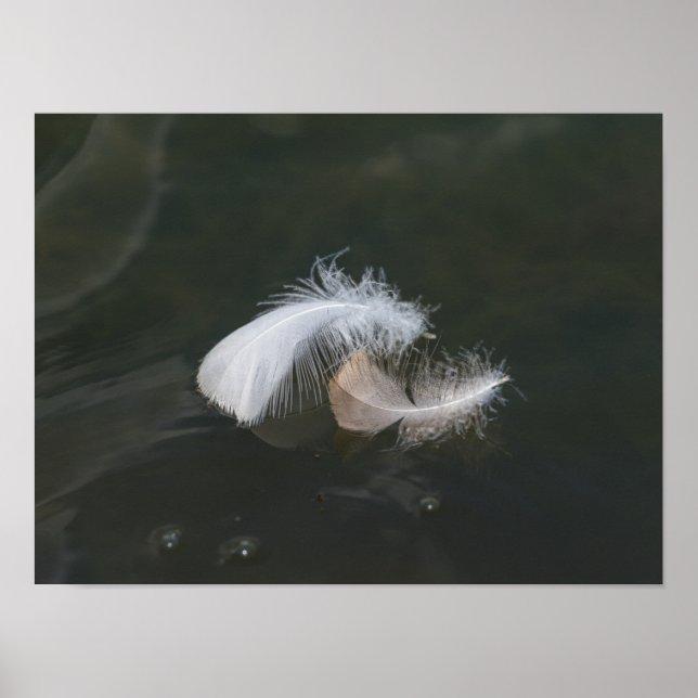 Goose Feathers Floating Poster (Front)