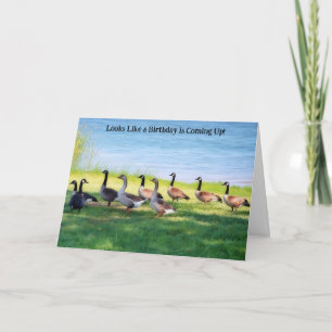 Goose Geese Gathering Party Birthday Wishes Card