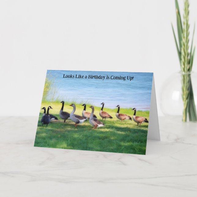 Goose Geese Gathering Party Birthday Wishes Card (Front)