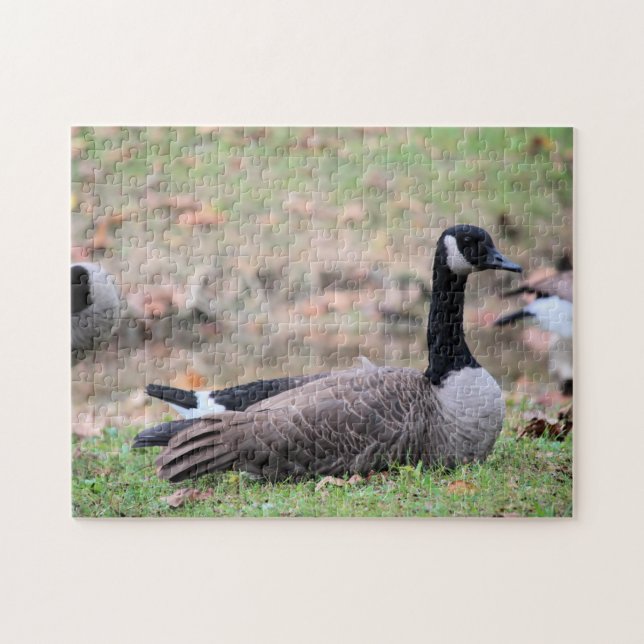 Goose Jigsaw Puzzle (Horizontal)
