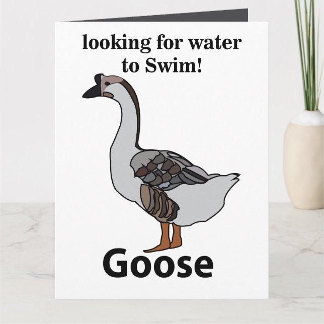 Goose Looking For Water To Swim African Goose Card (Front)