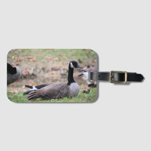 Goose luggage tag