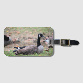 Goose  luggage tag