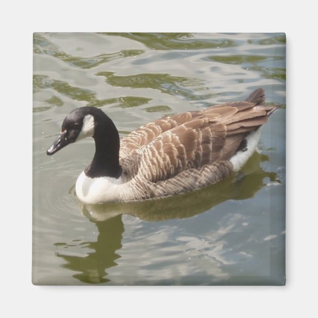 Goose Magnet (Front)